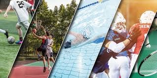 球队攻防效率提升，排名攀升